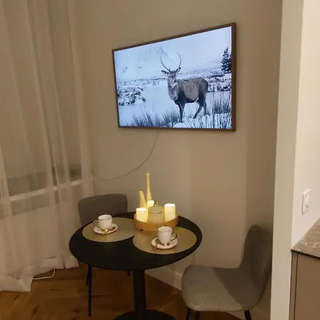 Apartment Charming Riga's